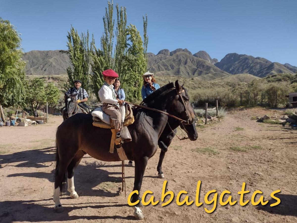 Cabana Pica Piedra Mendoza Kültér fotó